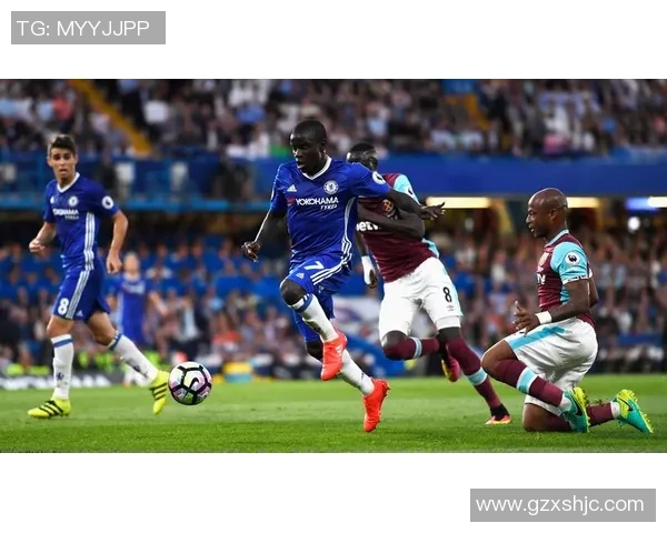 南京篮球队区域防守革新之路：战术创新与球队发展全景解析